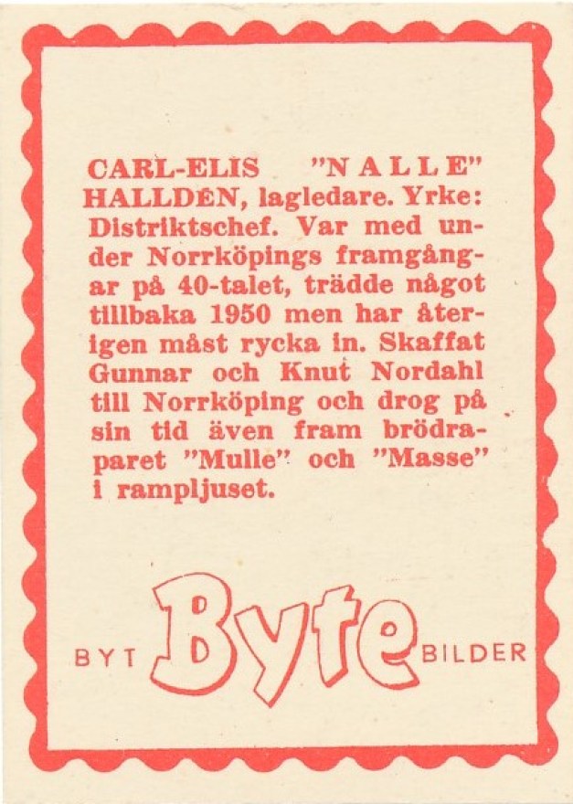 Nalle b
